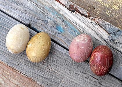 رنگ کردن تخم مرغ با رنگ طبیعی